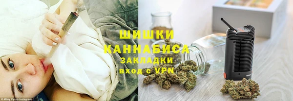 ПСИЛОЦИБИНОВЫЕ ГРИБЫ Абаза
