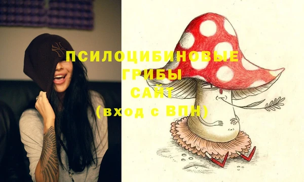 ПСИЛОЦИБИНОВЫЕ ГРИБЫ Абаза