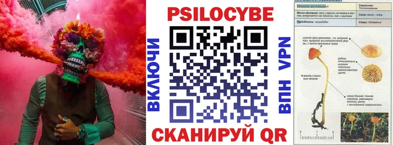 Псилоцибиновые грибы мухоморы  hydra ONION  Хасавюрт 