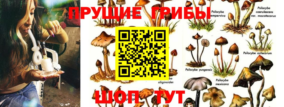 Галлюциногенные грибы MAGIC MUSHROOMS  Вход с VPN  Хасавюрт 