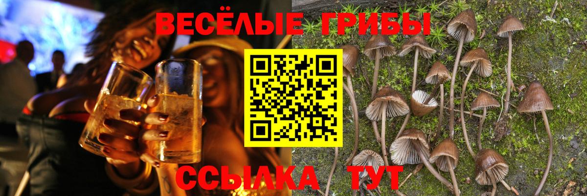 Галлюциногенные грибы мицелий Хасавюрт